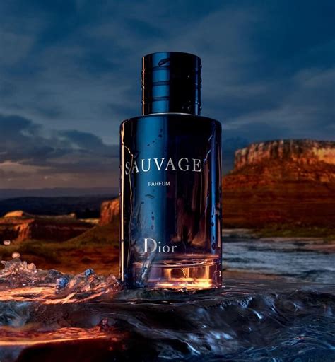 dior sauvage eau de parfum probe|how expensive is Dior Sauvage.